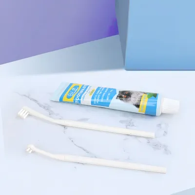 FurryFusion Kit dentifrice et brosse pour chiens et chats