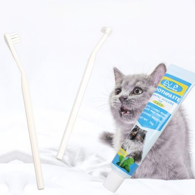 FurryFusion Kit de pasta y cepillo de dientes para perros y gatos