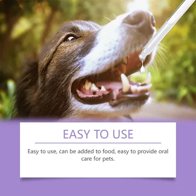 IntiMeg Kit dentaire pour Animaux-Gouttes, sprays, gels