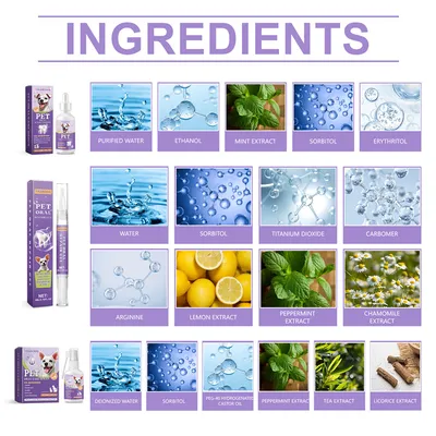 IntiMeg Kit dentaire pour Animaux-Gouttes, sprays, gels