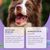 IntiMeg Kit dentaire pour Animaux-Gouttes, sprays, gels