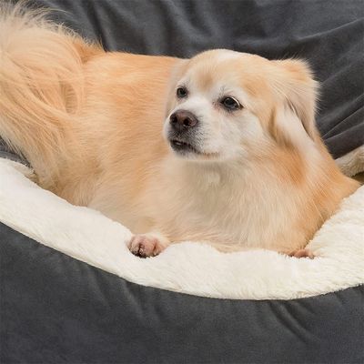 IntiMeg Lit rond pour chien et chats ,Sensation d'enveloppement