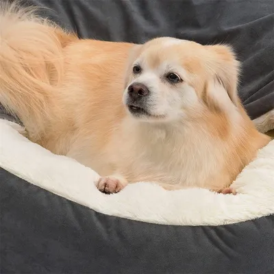 IntiMeg Cama redonda para perros y gatos, sensación acogedora y envolvente
