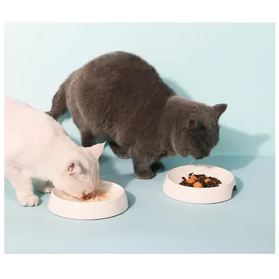 IntiMeg 2 pièces Gamelles pour Chat Snowflake,Barbe anti-toucher