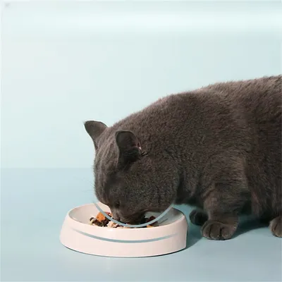 IntiMeg 2 pièces Gamelles pour Chat Snowflake,Barbe anti-toucher