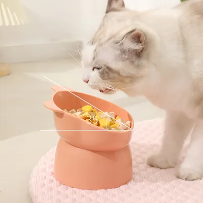 FurryFusion Gamelle inclinée en forme de tête d'ours pour chat