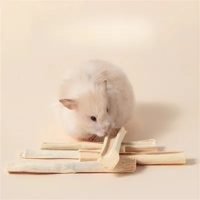 IntiMeg Friandises pour rongeurs - Sweet Bamboo