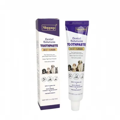 FurryFusion Dentifrice au bœuf pour chats et chiens