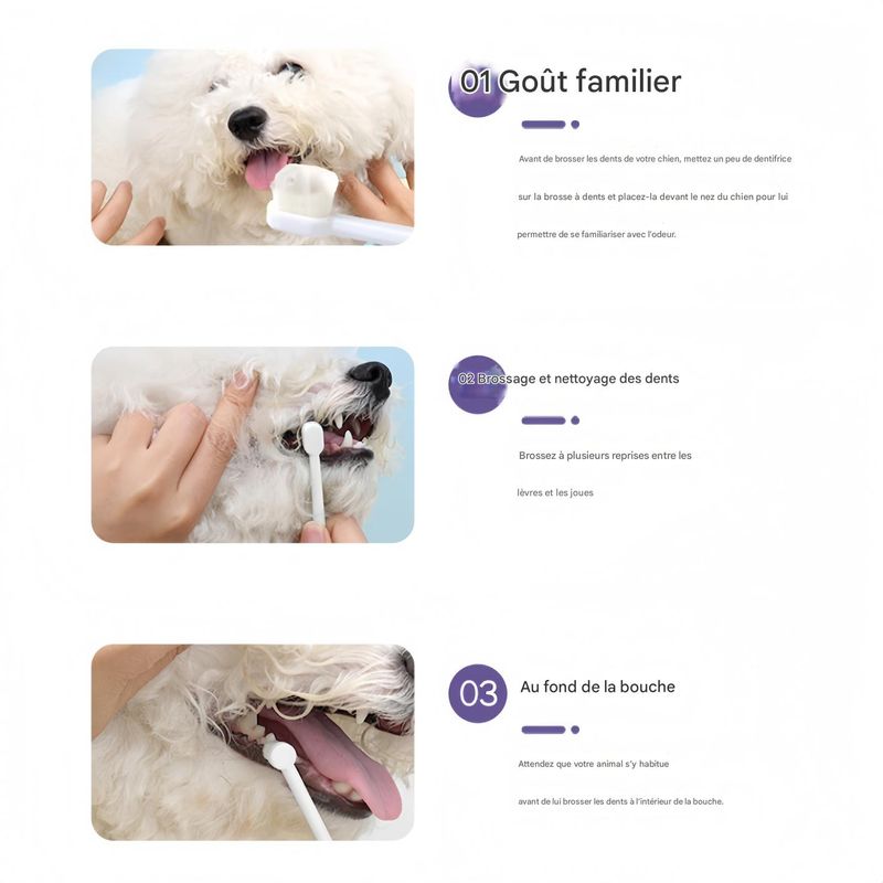 FurryFusion Dentifrice au bœuf pour chats et chiens