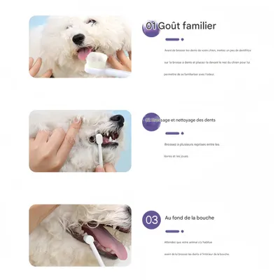 FurryFusion Dentifrice au bœuf pour chats et chiens