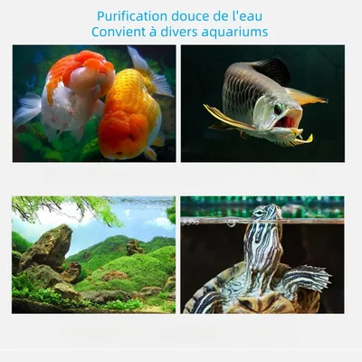 IntiMeg Purificateur d'Eau pour Aquarium