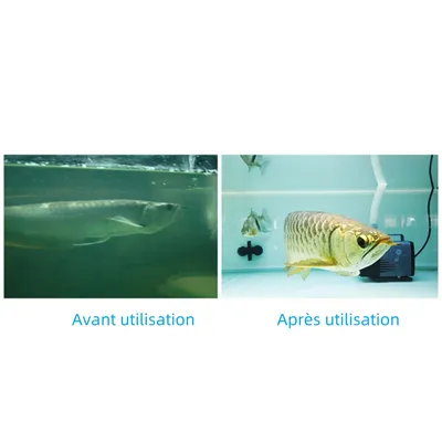 IntiMeg Purificateur d'Eau pour Aquarium