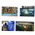 IntiMeg Purificateur d'Eau pour Aquarium