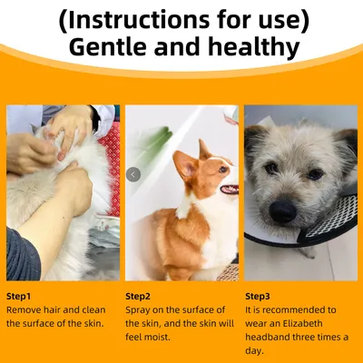 IntiMeg Spray anti-chute de poils pour chats et chiens,60ml