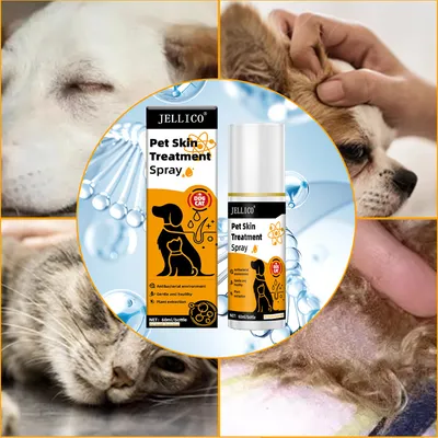 IntiMeg Spray anti-chute de poils pour chats et chiens,60ml