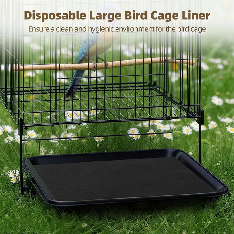 IntiMeg Lot de 30 litière pour cage à oiseaux,45*50cm