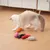 FurryFusion Lot de 5 jouets à l'herbe à chat