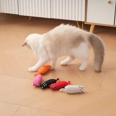 FurryFusion Lot de 5 jouets à l'herbe à chat