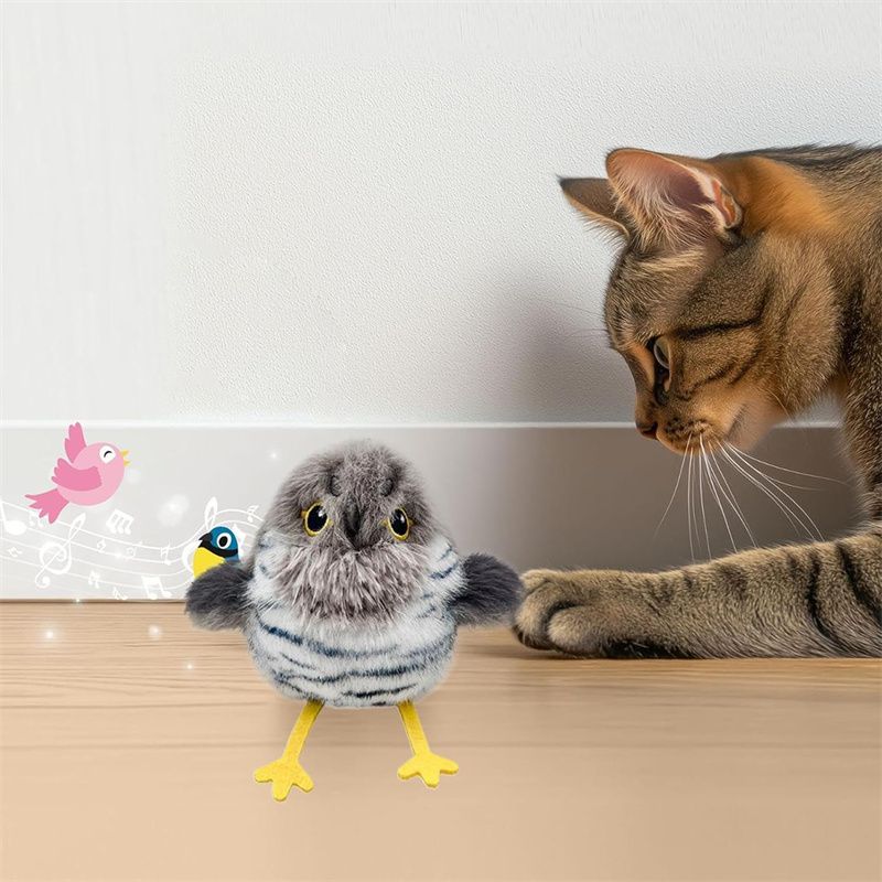 IntiMeg Jouet d'oiseau volant rechargeable pour chat