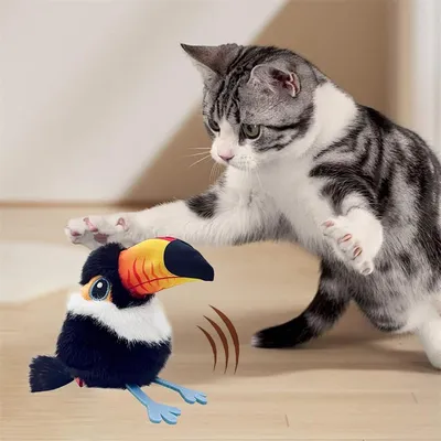 IntiMeg Jouet d'oiseau volant rechargeable pour chat