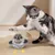 IntiMeg Jouet d'oiseau volant rechargeable pour chat