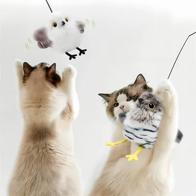 IntiMeg Jouet d'oiseau volant rechargeable pour chat