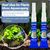 IntiMeg Lot de 5 Colles Coraux pour Aquarium
