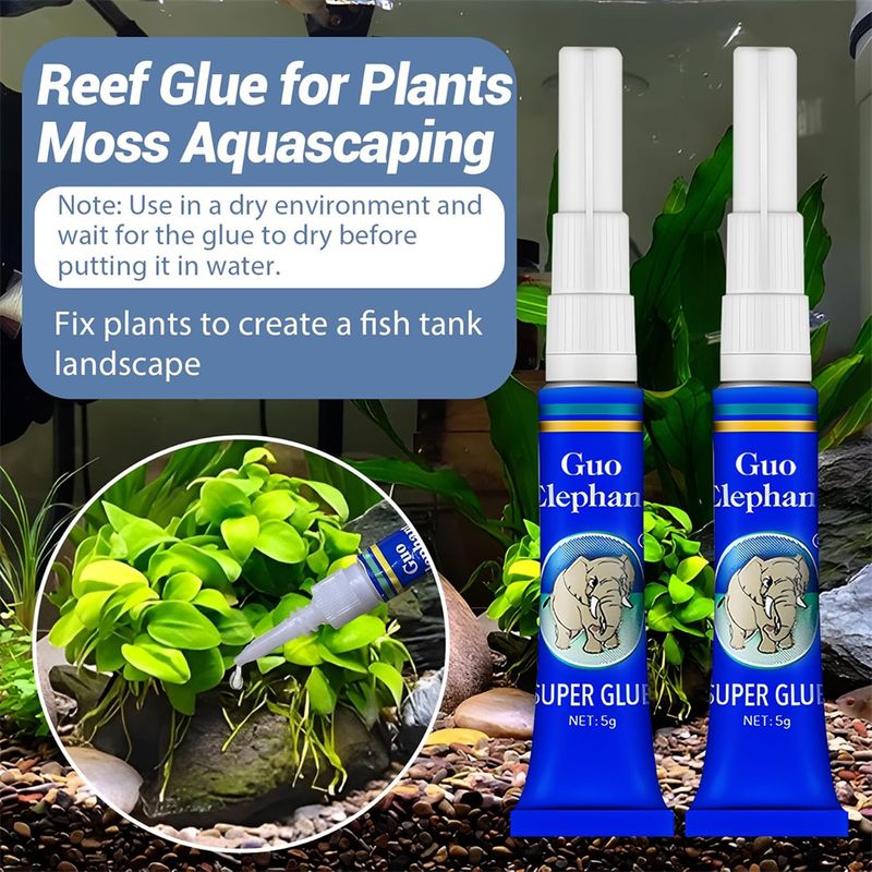 IntiMeg Lot de 5 Colles Coraux pour Aquarium