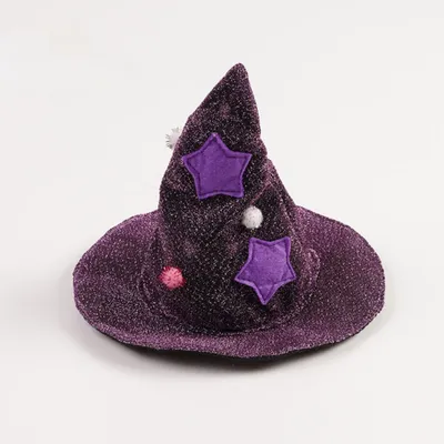 IntiMeg Costume de sorcier pour un chat