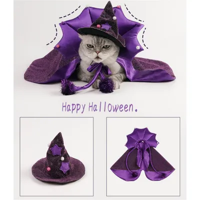 IntiMeg Costume de sorcier pour un chat