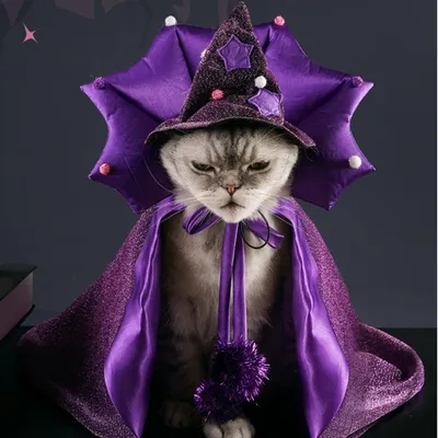 IntiMeg Costume de sorcier pour un chat