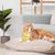 UAMLY Balle interactive intelligente pour chat