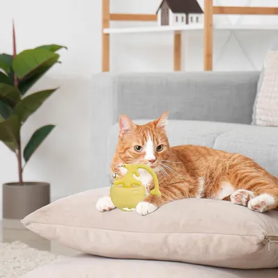 UAMLY Balle interactive intelligente pour chat