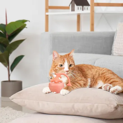 UAMLY Balle interactive intelligente pour chat