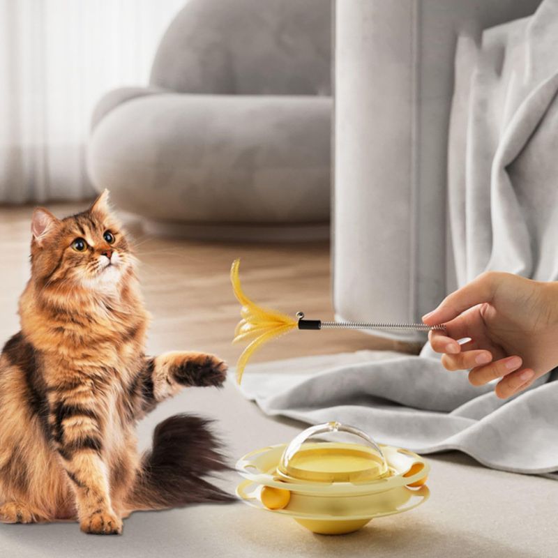 UAMLY Jouet en forme de balle de nourriture pour chat