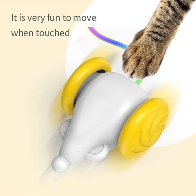 Jouet d'exercice pour chats