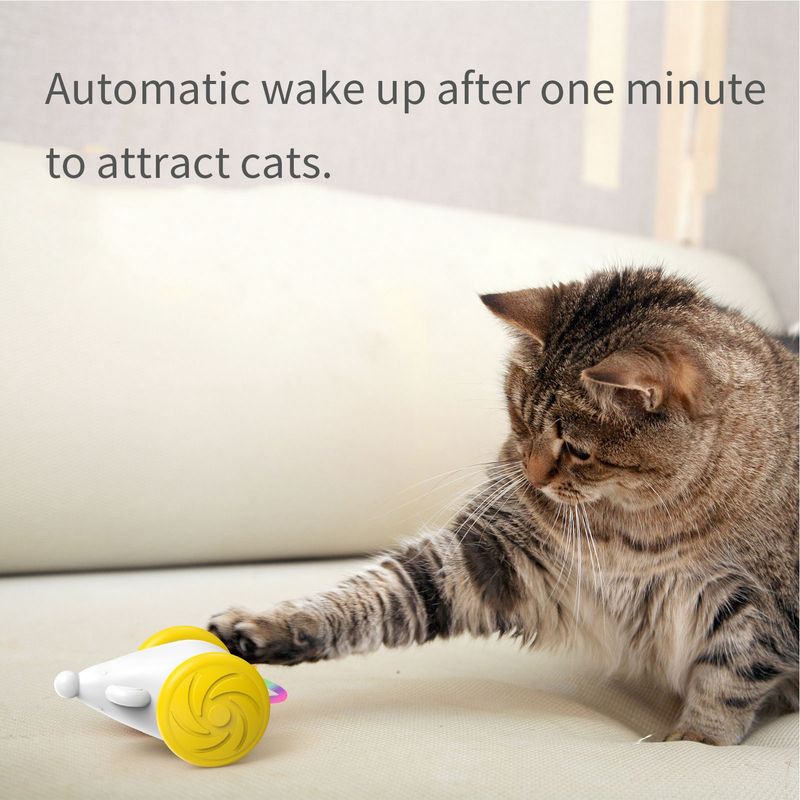 Jouet d'exercice pour chats