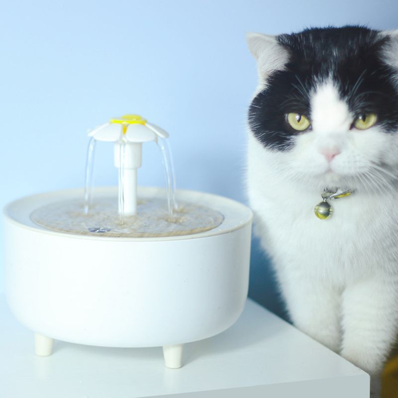 Filtres pour fontaines à eau pour chats