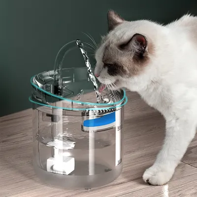 Filtres pour fontaines à eau pour chats
