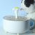 Filtres pour fontaines à eau pour chats