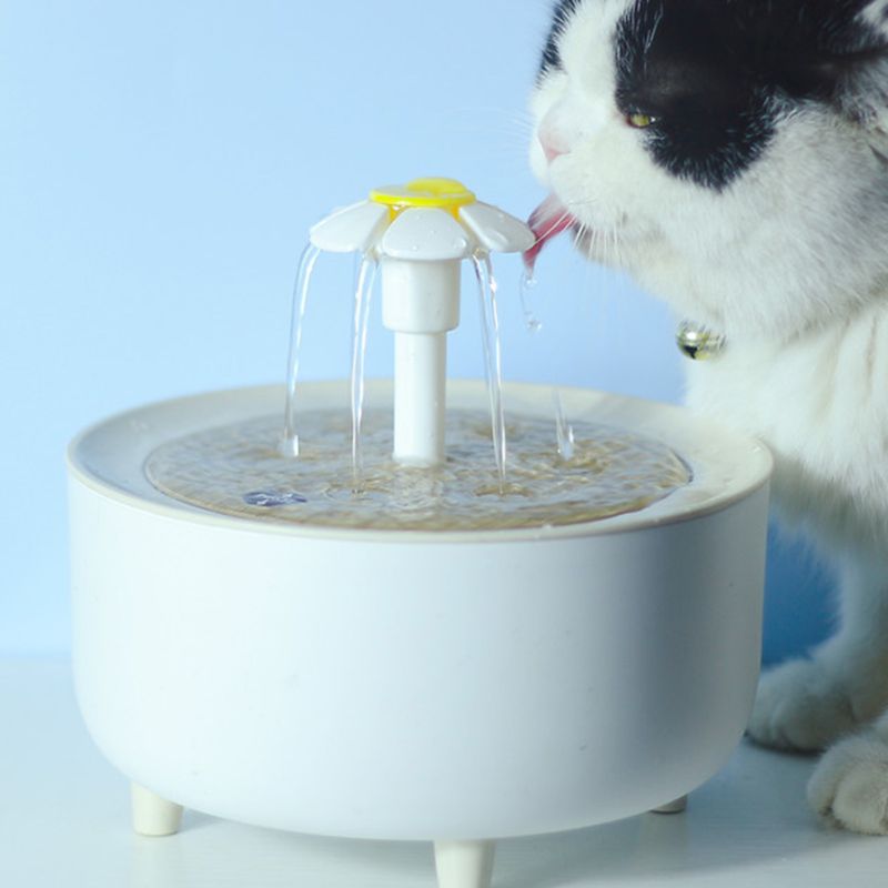 Filtres pour fontaines à eau pour chats
