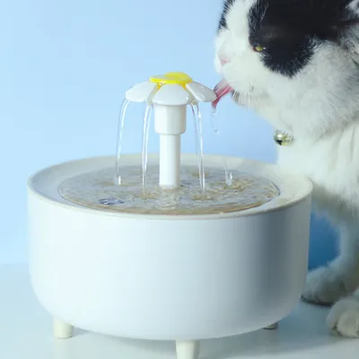 Filtres pour fontaines à eau pour chats
