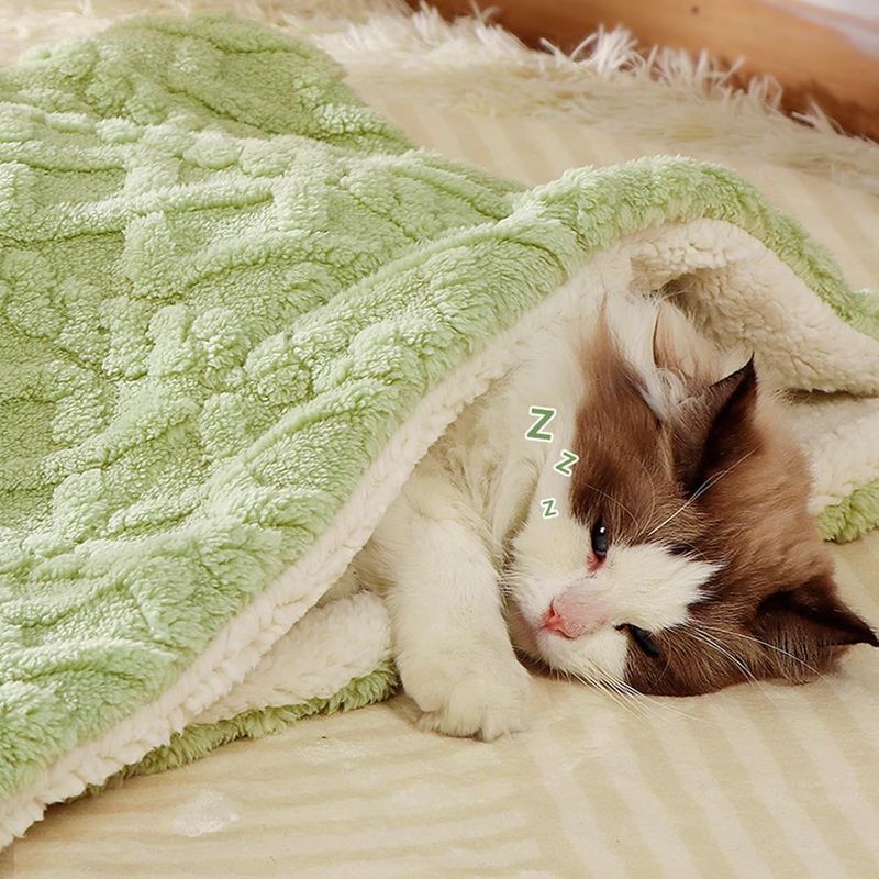 Couverture pour animaux de compagnie, vert