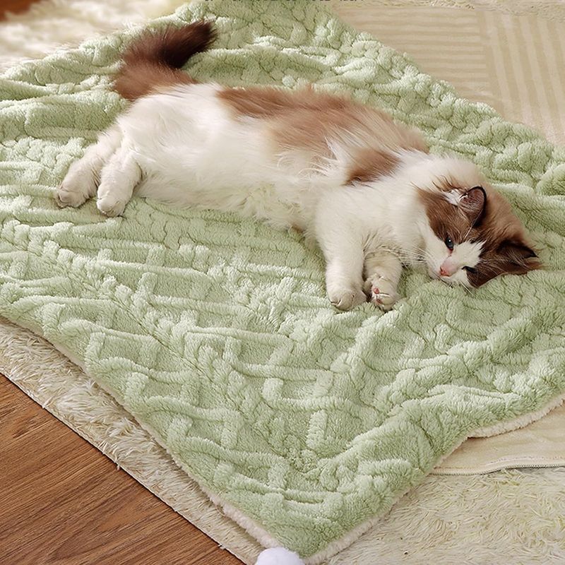Couverture pour animaux de compagnie, vert