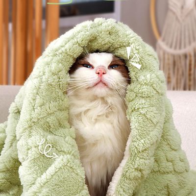 Couverture pour animaux de compagnie, vert