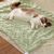 Couverture pour animaux de compagnie, vert