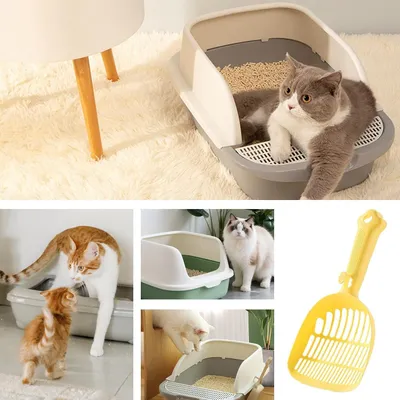 Pelle et tamis à litière pour chat