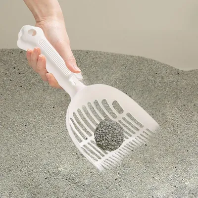 Pelle et tamis à litière pour chat