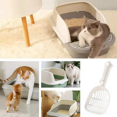 Pelle et tamis à litière pour chat