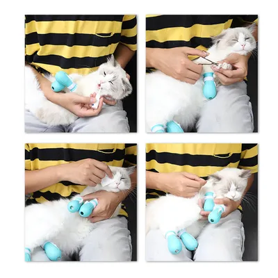 Couvre-pattes et protège-griffes